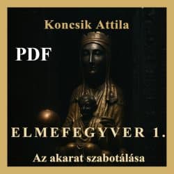 Elmefegyver 1 – Az akarat szabotálása (PDF)